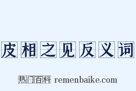 皮相之见反义词是什么意思的图片